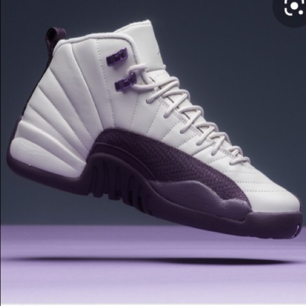 COPY - Air Jordan 12 Pro Purple